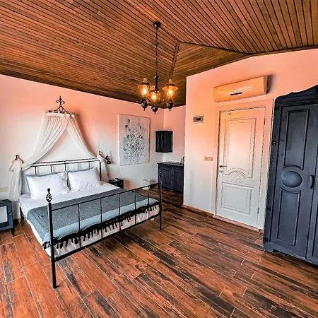 Assos Longevity Sokakagzi