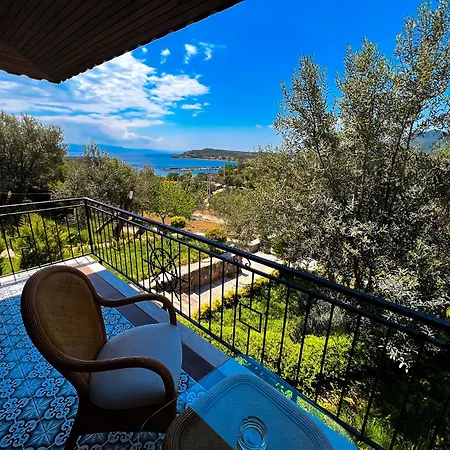 Assos Longevity 4*
