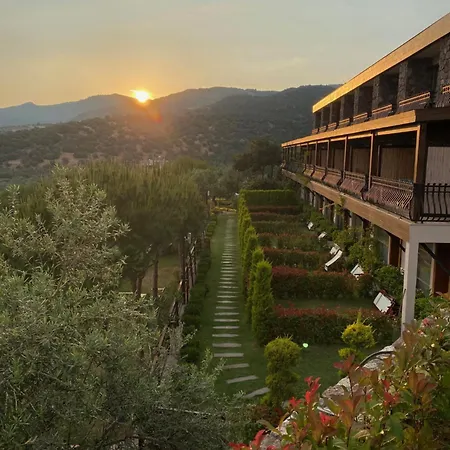 Assos Longevity 4*