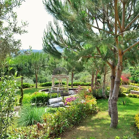 מלון Assos Longevity 4*