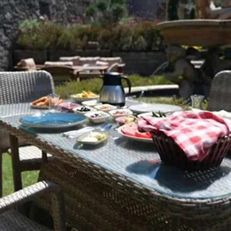 Assos Longevity 4* Sokakagzi