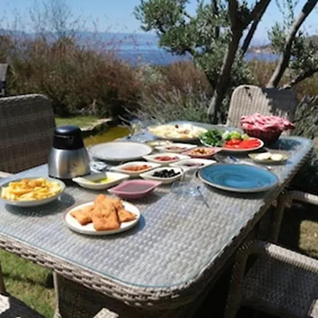 Assos Longevity Hotel 4*