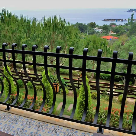 Assos Longevity 4* Sokakagzi
