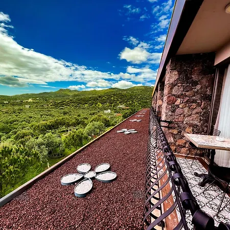 מלון Assos Longevity 4*