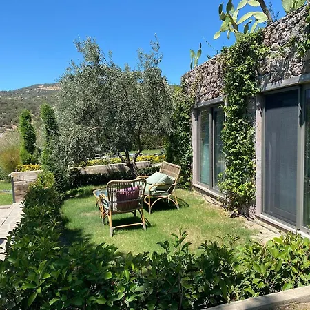 Assos Longevity מלון 4*