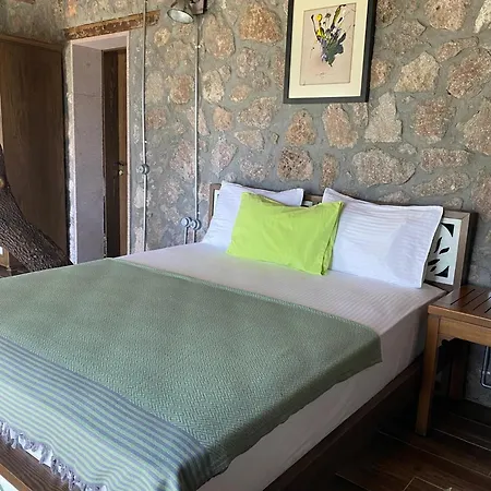 Assos Longevity 4*
