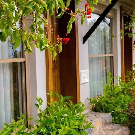 מלון Assos Longevity 4*