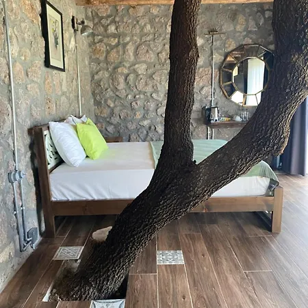 מלון Assos Longevity 4*