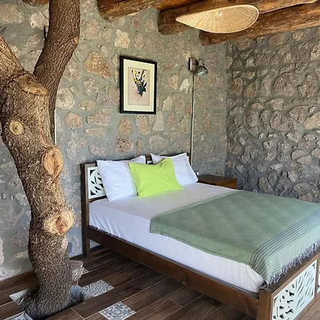 Assos Longevity מלון Sokakagzi