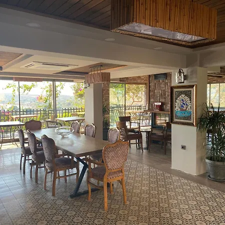 Assos Longevity 4* Sokakagzi