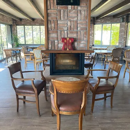 Assos Longevity Sokakagzi