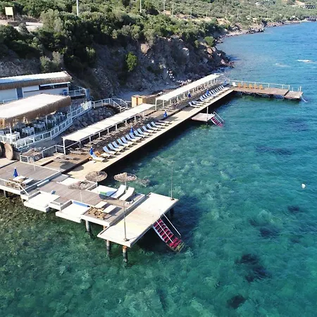 Assos Longevity 4* Sokakagzi