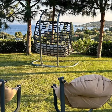 Assos Longevity 4*
