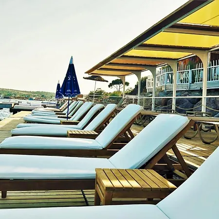 Assos Longevity Sokakagzi