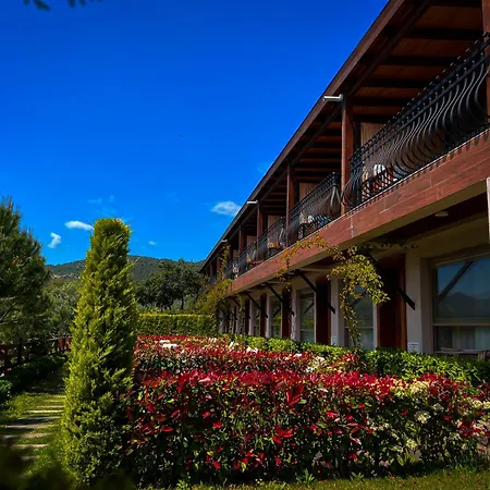 Assos Longevity Sokakagzi