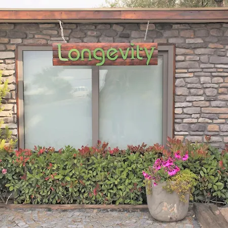 Assos Longevity 4* Sokakagzi