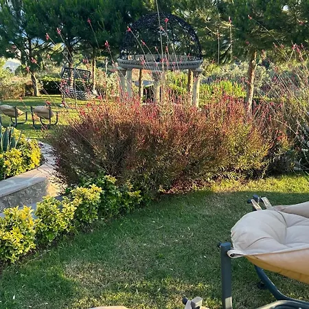 מלון Assos Longevity Sokakagzi