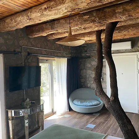 Assos Longevity Hotel 4*