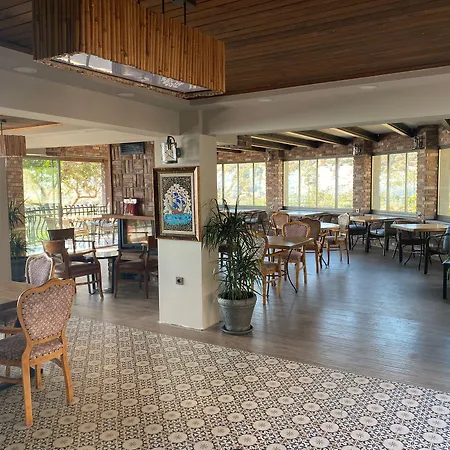 Hotel Assos Longevity