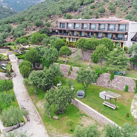 Assos Longevity 4* Sokakagzi