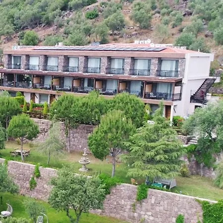 Hotel Assos Longevity 4*