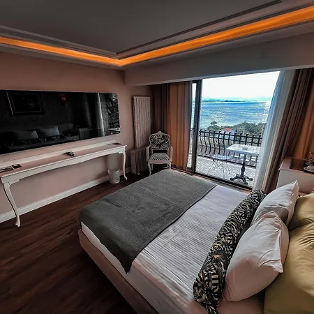 Hotel Assos Longevity 4*