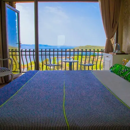 Assos Longevity Sokakagzi