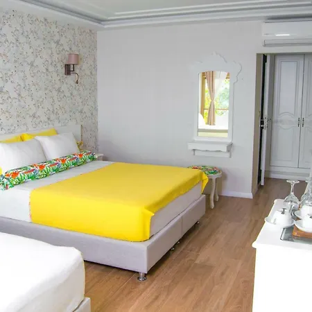 Assos Longevity Sokakagzi