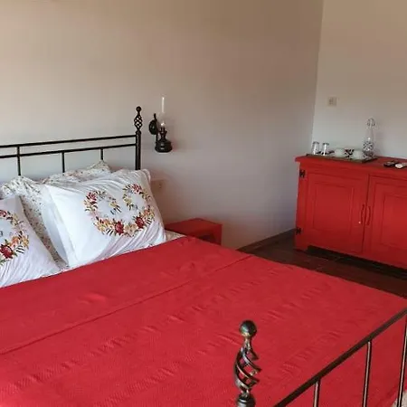 Assos Longevity 4* Sokakagzi