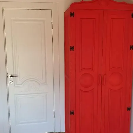 Assos Longevity Sokakagzi