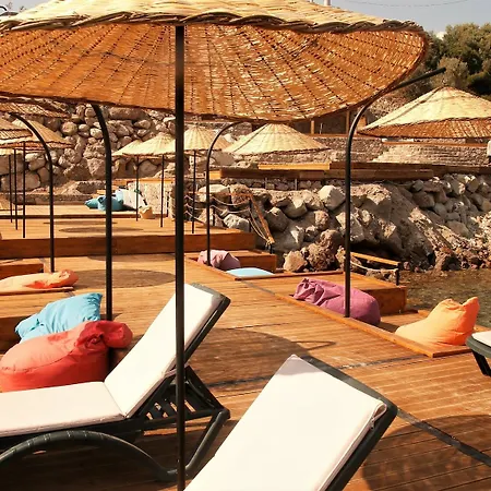 Assos Longevity