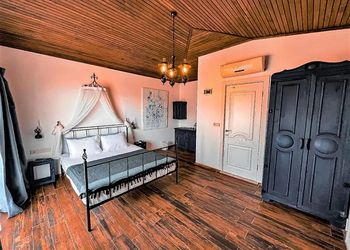 Assos Longevity Sokakagzi