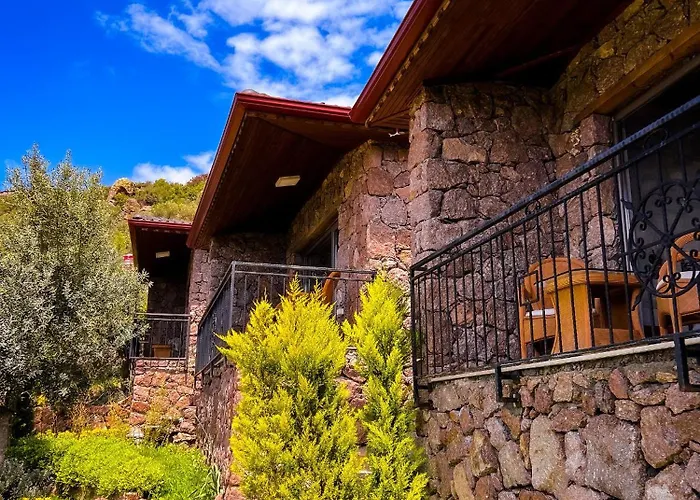 Hotel Assos Longevity