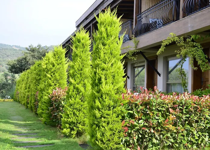 Hotel Assos Longevity