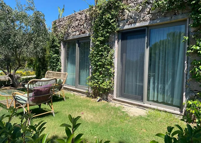 Assos Longevity Sokakagzi