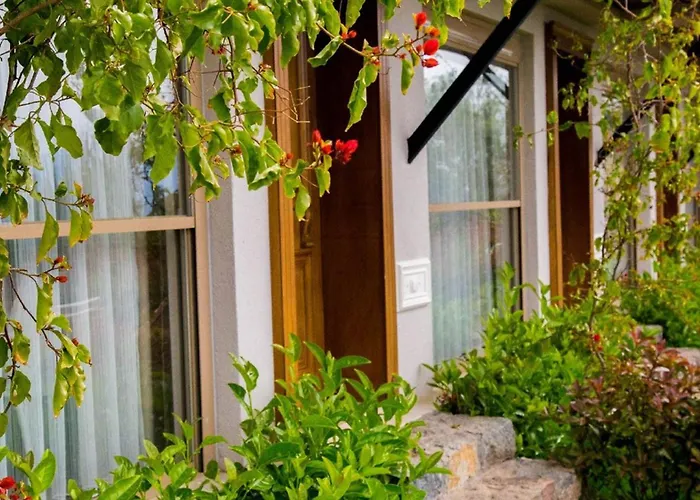 Hotel Assos Longevity 4*