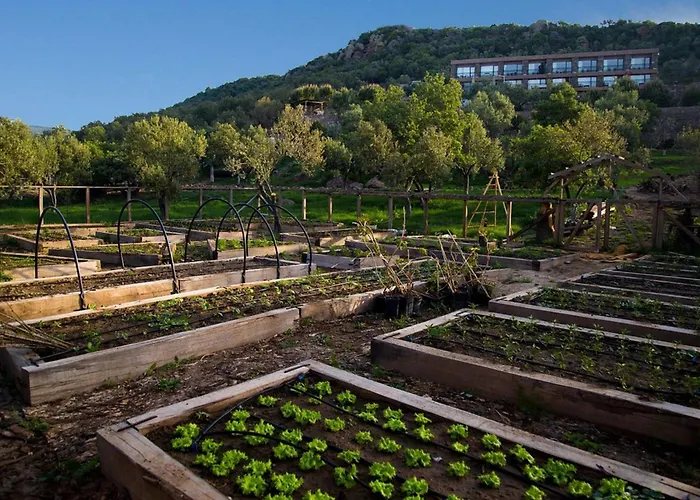 Hotel Assos Longevity Sokakagzi