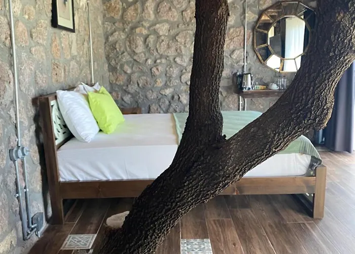 Hotel Assos Longevity 4*