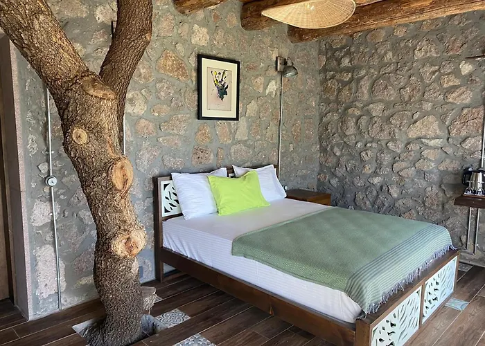 Assos Longevity Hotel Sokakagzi