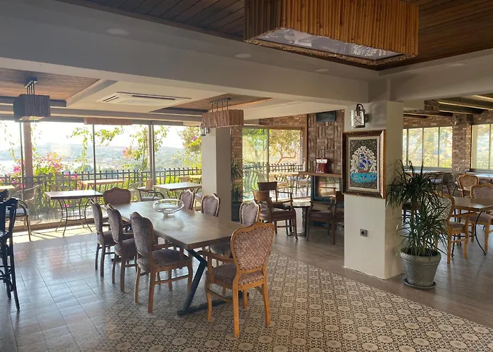 Assos Longevity 4* Sokakagzi