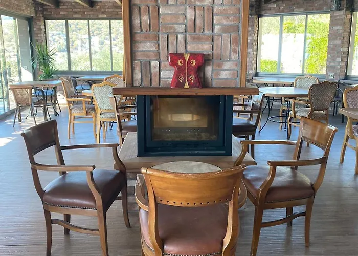 Assos Longevity Sokakagzi