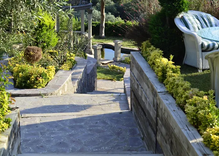 Assos Longevity Hotel Sokakagzi