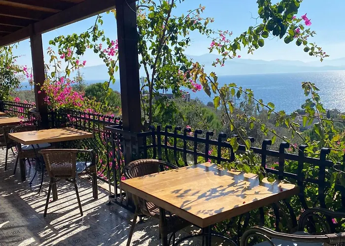 Assos Longevity Hotel Sokakagzi