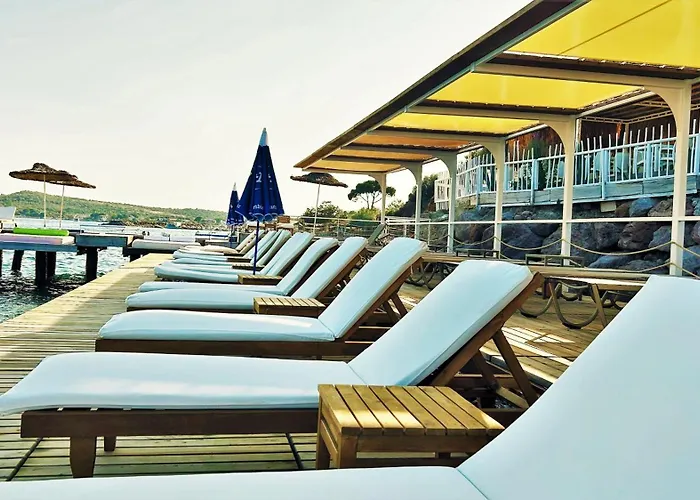 Assos Longevity Sokakagzi