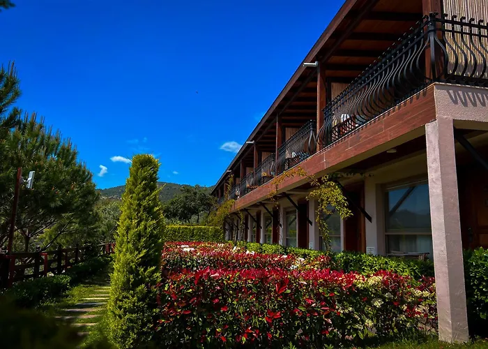 Assos Longevity Sokakagzi