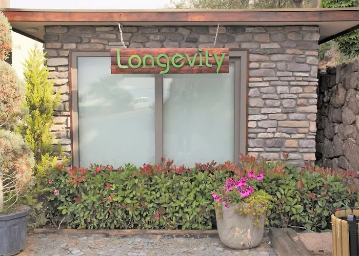 Assos Longevity 4* Sokakagzi