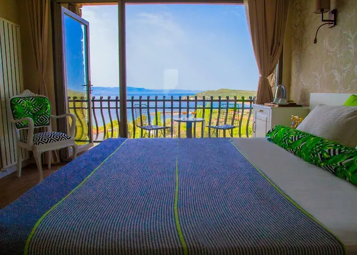 Assos Longevity Sokakagzi