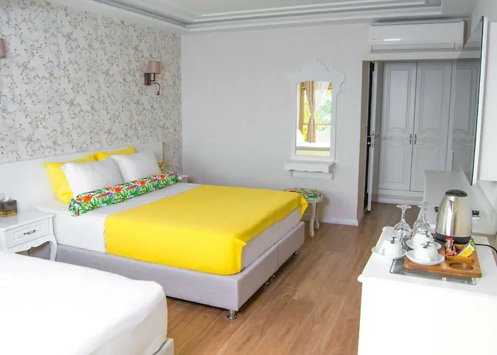 Assos Longevity Sokakagzi