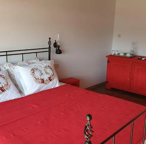 Assos Longevity 4* Sokakagzi